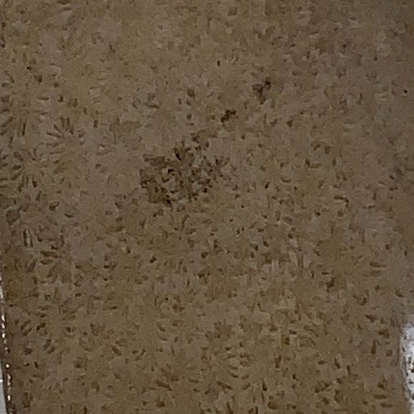 Fossilized Coral Rectangular Pendant - Picture 7 of 10